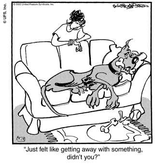 marmaduke